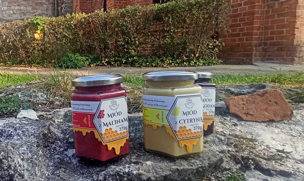 464623278_1088230233310840_4291498555324406687_n