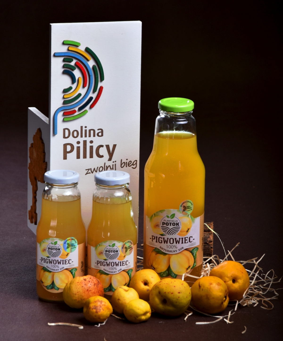 487982127_1070985485062196_6819094560321104378_n